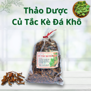 Thảo Dược Tắc Kè Đá Khô
