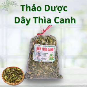 Thảo Dược Dây Thìa Canh