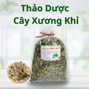 Thảo Dược Cây Xương Khỉ