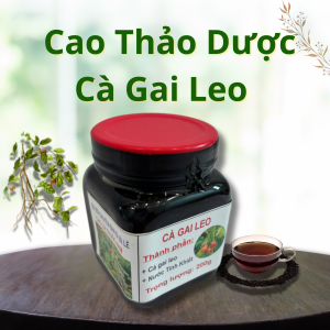 Cao Thảo Dược Cà Gai Leo - Hộp nhựa 