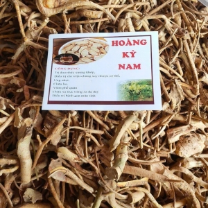 RỄ HOÀNG KÌ NAM 