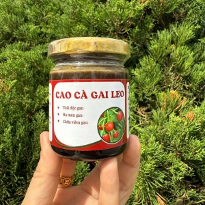 Cao Cà Gai Leo - Trà Thảo Mộc Tây Bắc (Lọ 100ml)