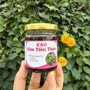 Cao Kim Tiên Thảo - Trà Thảo Dược Tây Bắc (Lọ 100ml)
