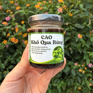 Cao Khổ Qua Rừng - Trà Thảo Dược Tây Bắc (Lọ 100ml)