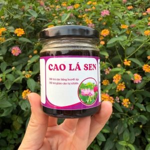 Cao Lá Sen - Trà Thảo Dược Tây Bắc (Lọ 100ml)
