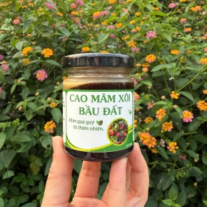 Cao Mâm Xôi Bầu Đất - Trà Thảo Dược Tây Bắc (Lọ 100ml)