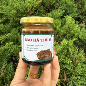 Cao Hà Thủ Ô - Trà Thảo Dược Tây Bắc (Lọ 100ml)