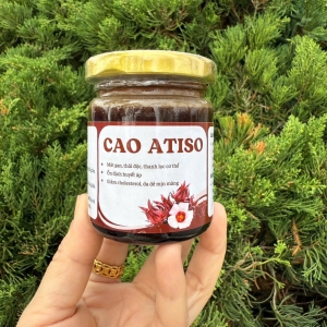 Cao ATISO - Trà Thảo Dược Tây Bắc (Lọ 100ml)