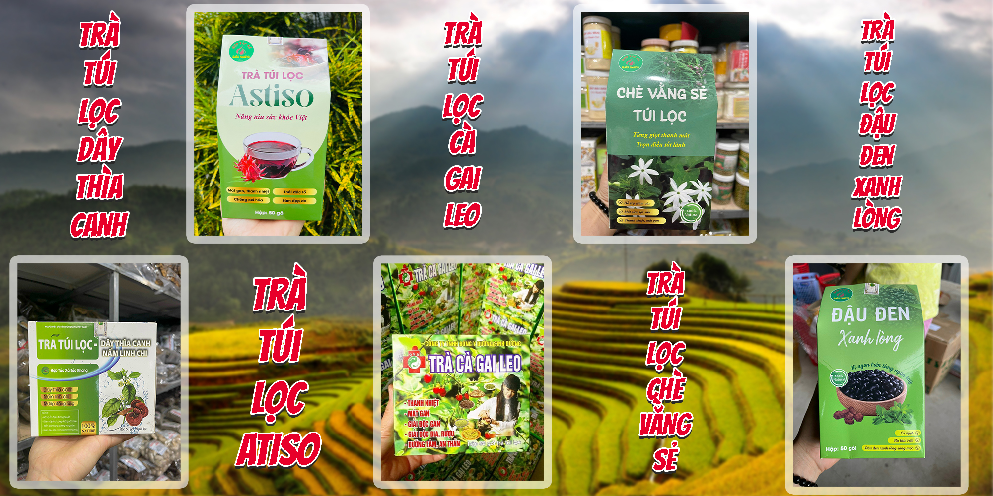 Thảo Dược Dân Tộc Dao Đỏ