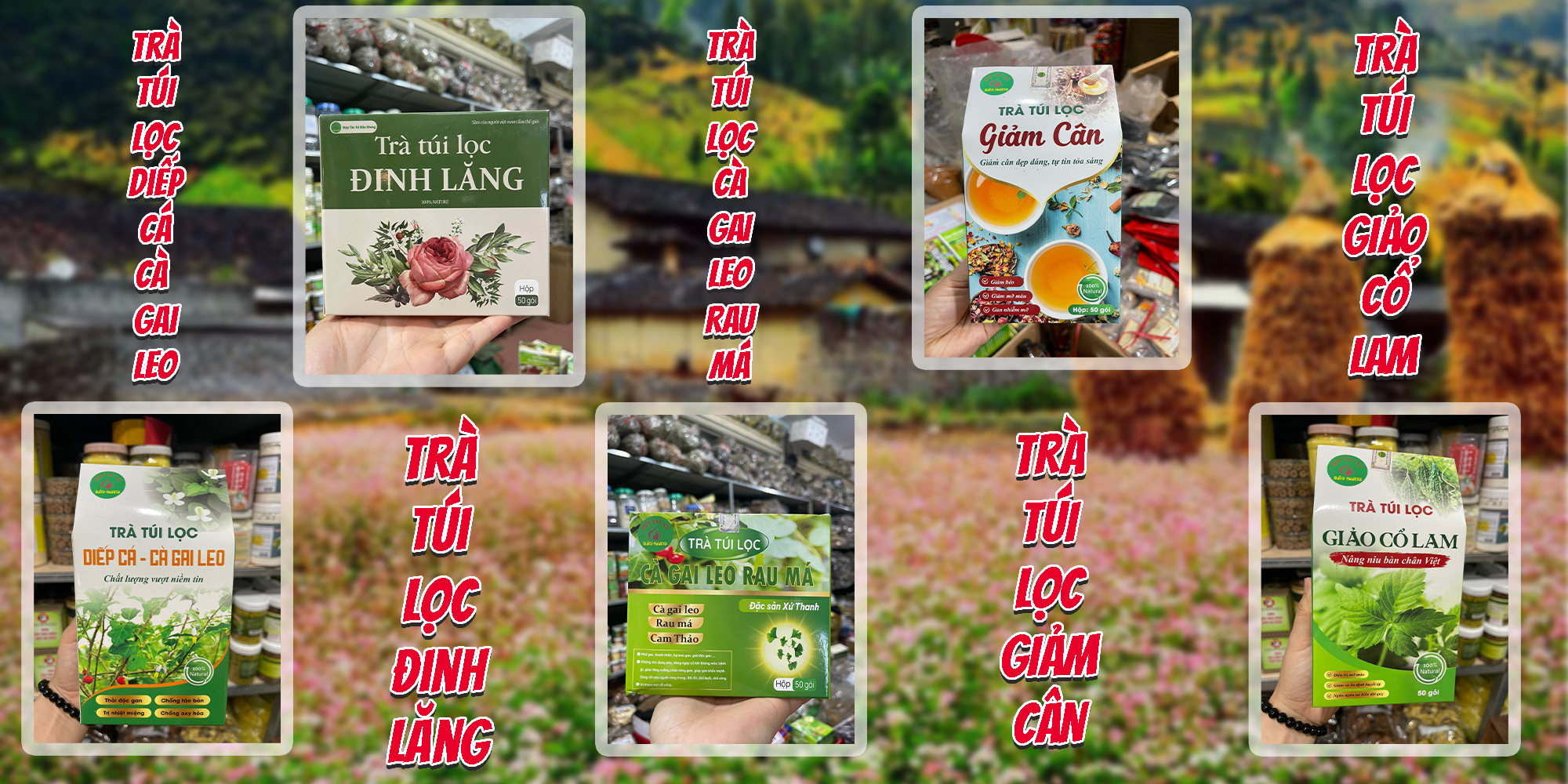 Trà thảo dược túi lọc 1